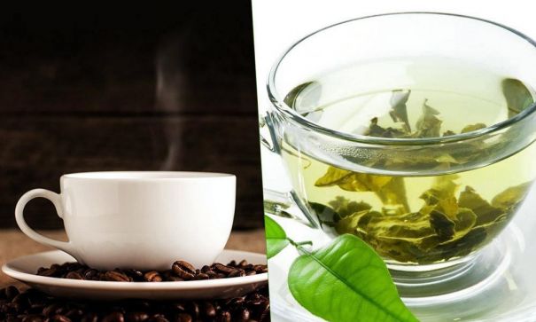 Green Tea vs Coffee – What are the pros and cons of both drinks - MevoLife Blog | mevolife.com - 2