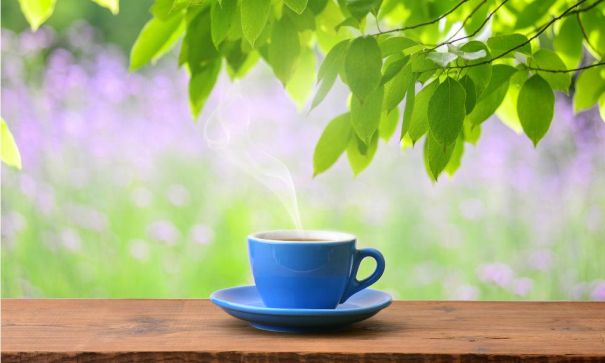 What Makes A Cup of Premium Green Tea So Very Special?
