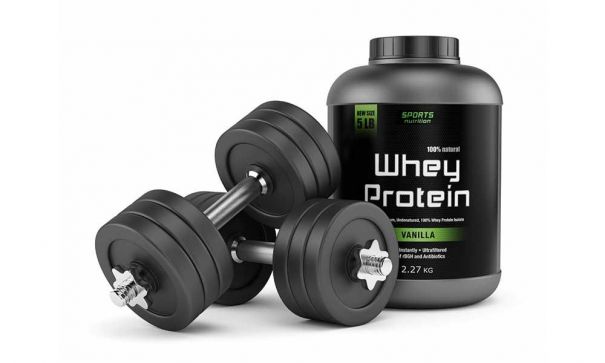 why whey protein is the best muscle-building food for beginners and fitness professionals?
