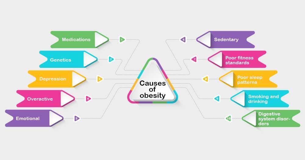 Causes of obesity