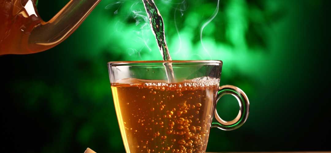 health and fitness benefits of green tea