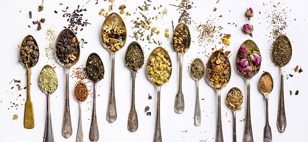 What Ingredients, Herbs, & Nutritious Values to find in a Premium Green Tea