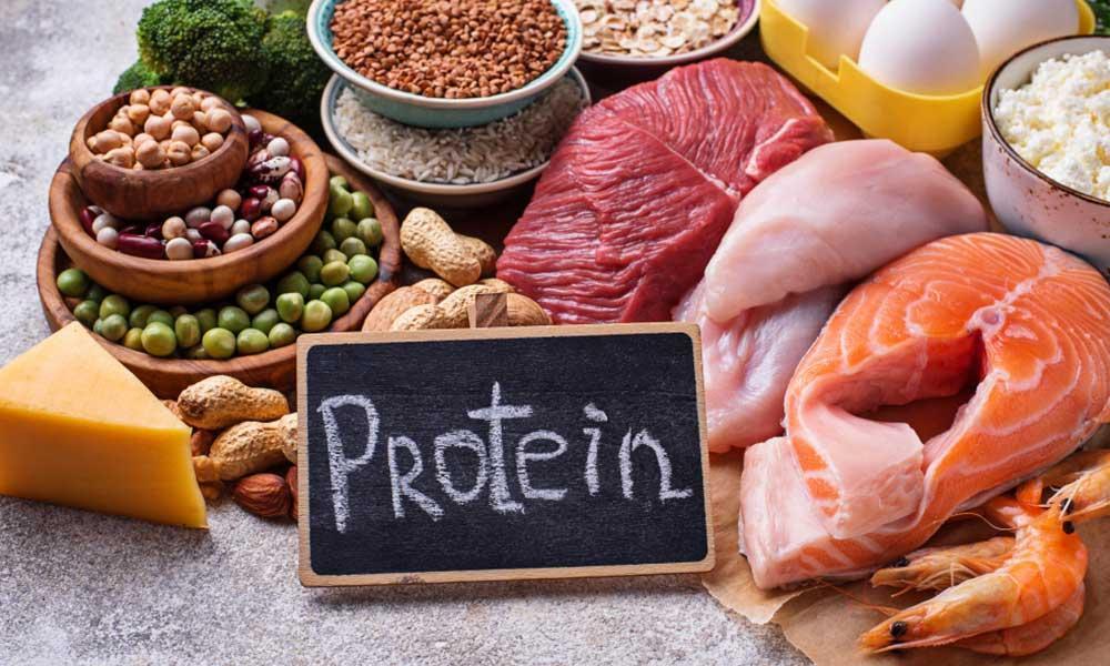 Protein diet for learner muscles