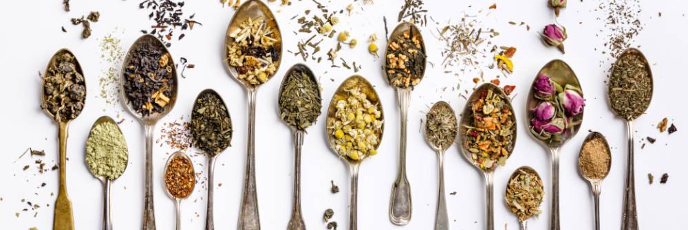 What Ingredients, Herbs, & Nutritious Values to find in a Premium Green Tea - 3